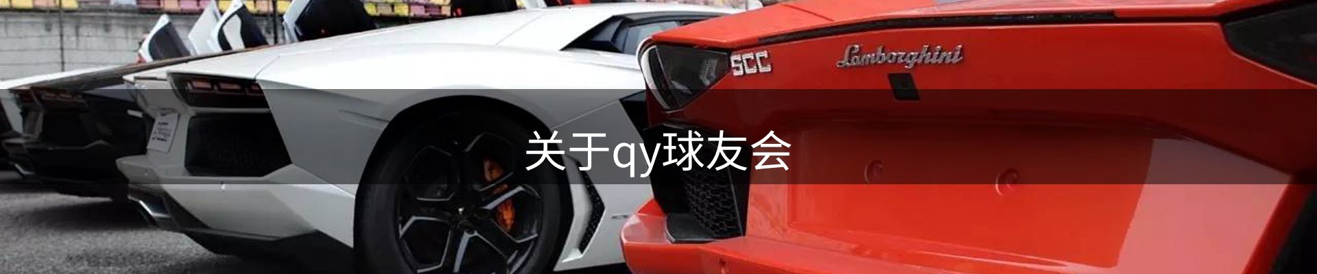 关于qy球友会